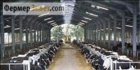 Разведение коров на молоко: особенности и перспективы Разведение крупнорогатого скота для получения прибыли